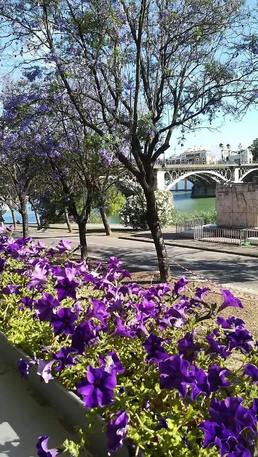 Anna - Triana Apartment Seville